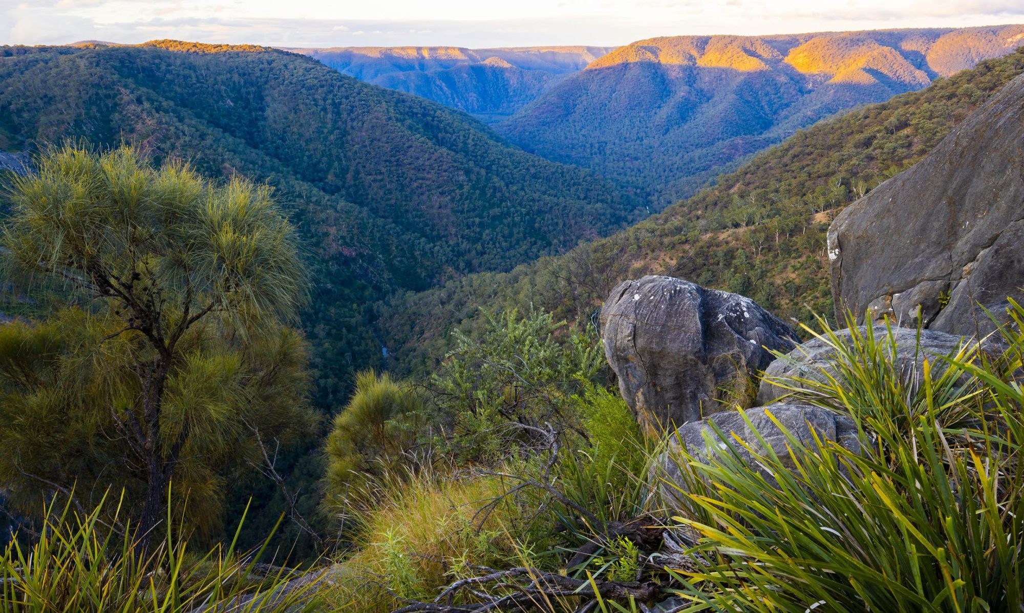 Landscapes - Bungonia Gorge, NSW